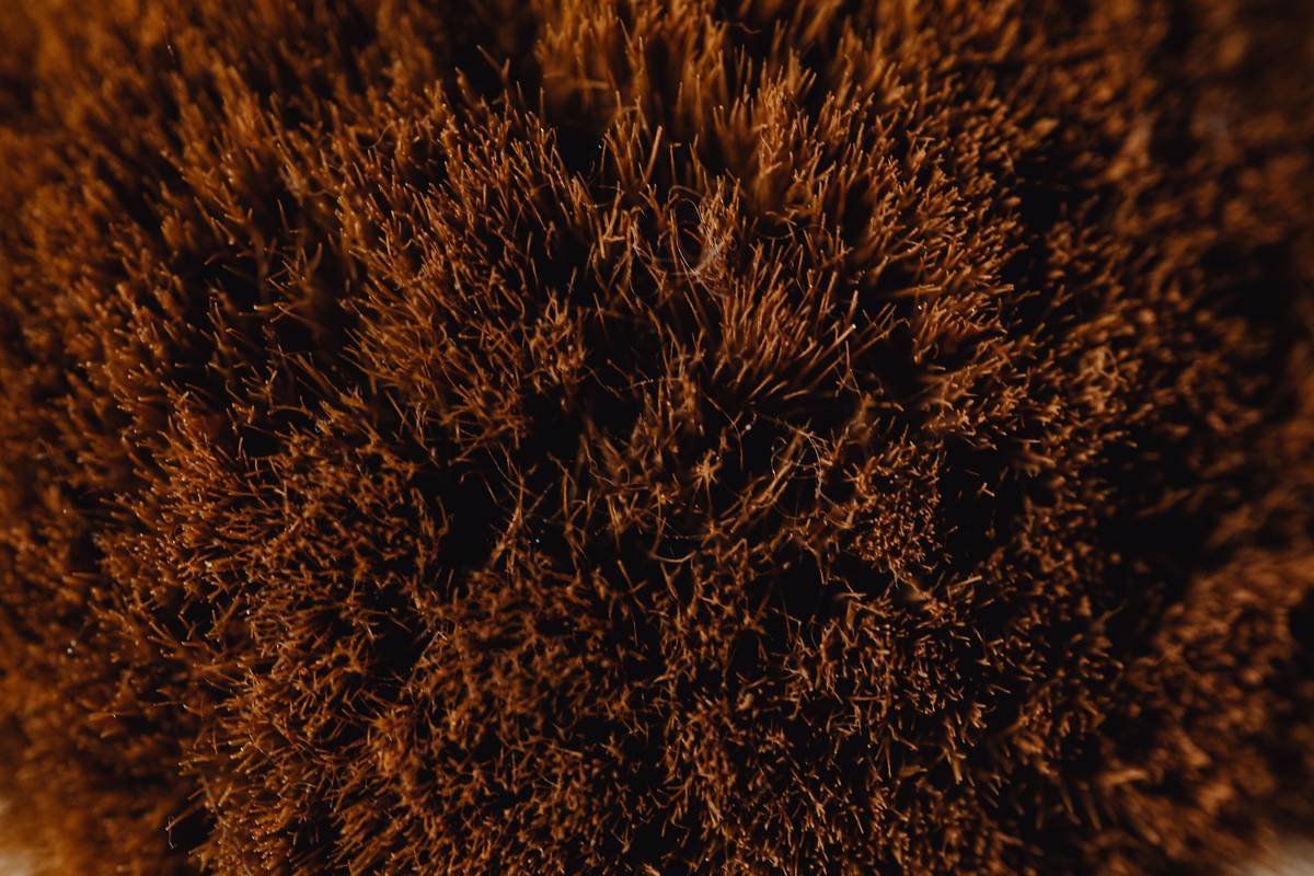 Shaving Brushes with Synthetic Bristles: The Ethical, High-Performance Upgrade Your Routine Needs